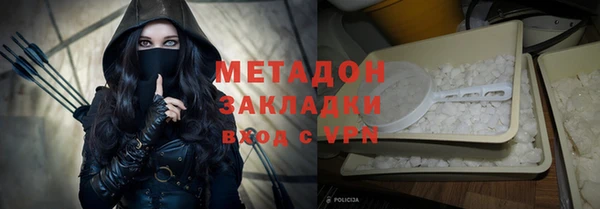 гашик Алексин