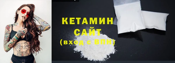 гашик Алексин
