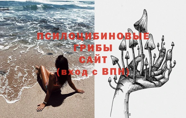 бутират Алзамай
