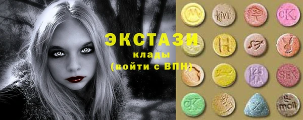 гашик Алексин