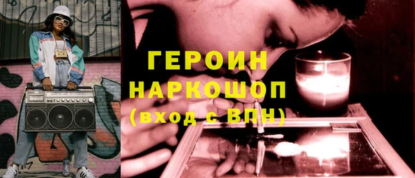 гашик Алексин