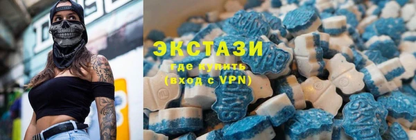 гашик Алексин