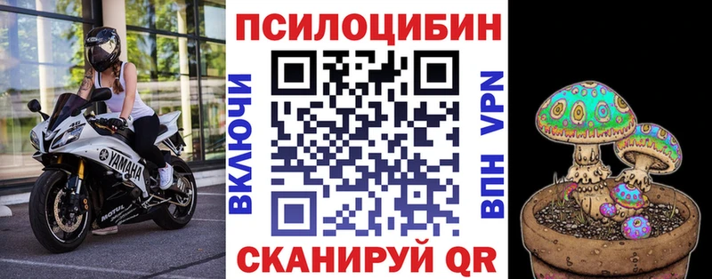 Галлюциногенные грибы Cubensis  как найти закладки  Анадырь 